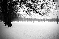 snow (1 of 1).jpg